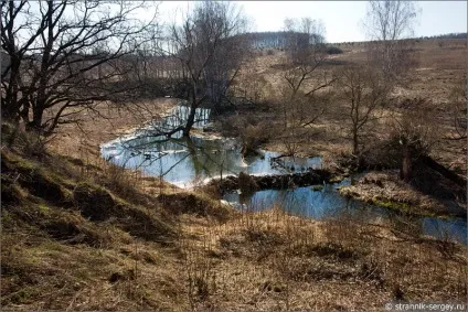 Весна квіти проліски в лісі (проліски) Весна квіти проліски в лісі