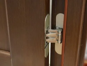 Види петлею для дверей, класифікація і принцип установки (Які дверні петлі) Види петлею для дверей, класифікація і принцип установки