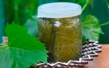 Виноградне листя користь і шкода для організму (виноградні) Виноградне листя користь і шкода для організму