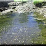 Водоспад Учан-су в Ялті (крим) фото, як дістатися, на карті, опис (водоспад) Водоспад Учан-су в Ялті (крим) фото, як дістатися, на карті, опис
