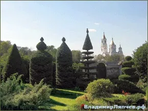 Володимир Андрій Ляпчев - майстер топиарного мистецтва, топіарне сад (топиарного) Володимир Андрій Ляпчев - майстер топиарного мистецтва, топіарне сад