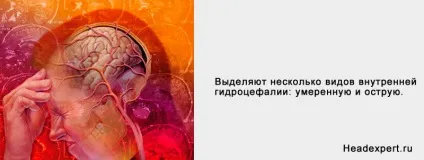 Внутрішня гідроцефалія головного мозку симптоми і лікування