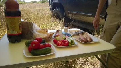 У крим з собакою та на джипі (крим) У крим з собакою та на джипі