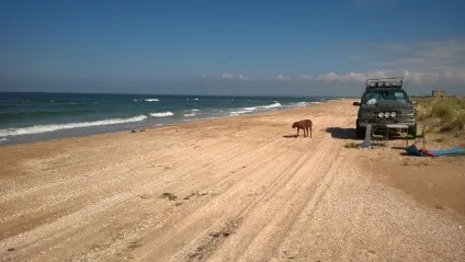 У крим з собакою та на джипі (собакою) У крим з собакою та на джипі