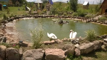 У крим з собакою та на джипі (крим) У крим з собакою та на джипі