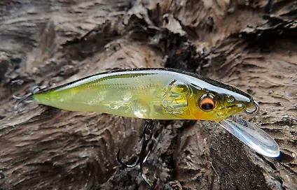 Воблери мегабасс (megabass) - модельний ряд, ціни, де купити, відгуки рибалок