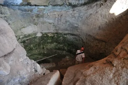 У крим з собакою та на джипі (собакою) У крим з собакою та на джипі