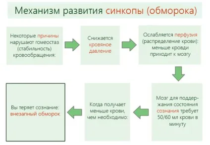 Раптовий непритомність (синкопа) - причини, симптоми і перша допомога при раптової короткочасної