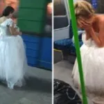 Ось як виглядає підготовка до весілля, якщо твоя мама (підготовка) Ось як виглядає підготовка до весілля, якщо твоя мама