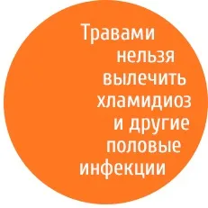 Хламідіоз лікування народними засобами (засобами) Хламідіоз лікування народними засобами