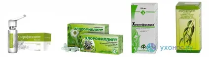 Хлорофіліпт для горла полоскання, застосування при ангіні (полоскання) Хлорофіліпт для горла полоскання, застосування при ангіні