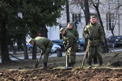 Чи входить служба в армії в страховий стаж (входить) Чи входить служба в армії до страхового стажу