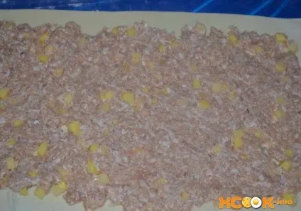 Ханум з м'ясом і картоплею (рецепт Ханума з м'ясом і картоплею) Ханум з м'ясом і картоплею