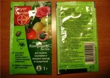 Янтарна кислота для квітів як розводити, поливати і підгодовувати квіти (бурштинова кислота) Янтарна кислота для квітів як розводити, поливати і підгодовувати квіти