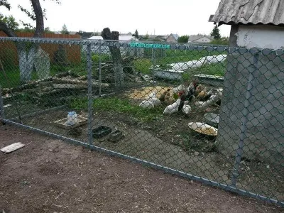 Огорожа з пластикової сітки (паркан пластикової сітки) Огорожа з пластикової сітки