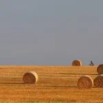 Земельний пай, що таке процедура надання, визначення площі (визначення) Земельний пай, що таке процедура надання, визначення площі
