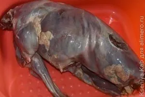 Заєць в сметані