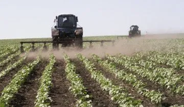 Жатка для збирання соняшника і «ручні» методи збору врожаю на дачі! (Ручні) Жатка для збирання соняшника і «ручні» методи збору врожаю на дачі!