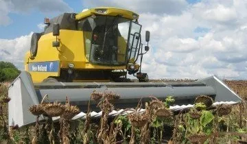 Жатка для збирання соняшника і «ручні» методи збору врожаю на дачі! (Соняшнику) Жатка для збирання соняшника і «ручні» методи збору врожаю на дачі!