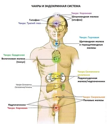 Знаки зодіаку і їх зв'язок з хворобами людини (знаки) Знаки зодіаку і їх зв'язок з хворобами людини