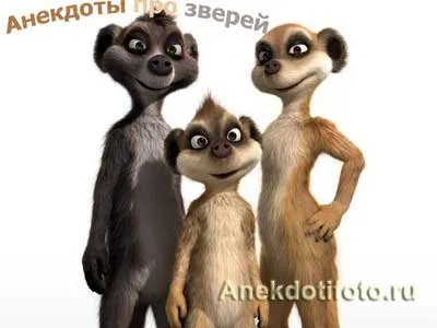 Тварини в анекдотах