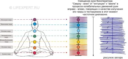 Знаки зодіаку і їх зв'язок з хворобами людини (рослина) Знаки зодіаку і їх зв'язок з хворобами людини