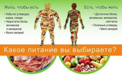 Жирна їжа і її вплив на організм список продуктів-вбивць (жирна) Жирна їжа і її вплив на організм список продуктів-убивць