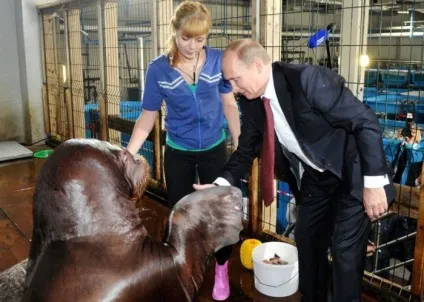 Життя Смелаа путина очима американців (28 фото) - безкоштовні фото приколи, демотиватори та (деякі) Життя Смелаа путина очима американців (28 фото) - безкоштовні фото приколи, демотиватори та