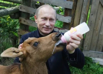 Життя Смелаа путина очима американців (28 фото) - безкоштовні фото приколи, демотиватори та (нашим) Життя Смелаа путина очима американців (28 фото) - безкоштовні фото приколи, демотиватори та