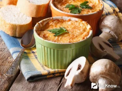 Жульєн з білих грибів з куркою секрети приготування (секрети приготування) Жульєн з білих грибів з куркою секрети приготування