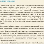 Акбаш турецька порода собак