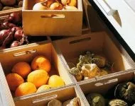 Бальзамін вирощування з насіння коли садити (насіння) Бальзамін вирощування з насіння коли садити