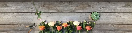 Безпечні квіти для кішок і собак (кішок) Безпечні квіти для кішок і собак