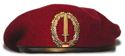 Берети в елітних військах, si vis pacem, para bellum! (Чорний берет) Берети в елітних військах, si vis pacem, para bellum!