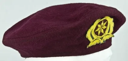 Берети в елітних військах, si vis pacem, para bellum! (Військах) Берети в елітних військах, si vis pacem, para bellum!