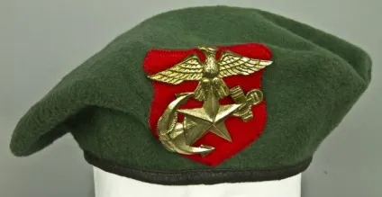 Берети в елітних військах, si vis pacem, para bellum! (Pacem) Берети в елітних військах, si vis pacem, para bellum!