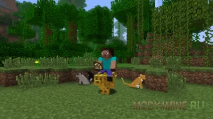 Animal bikes для minecraft 1