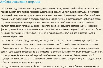 Акбаш турецька порода собак