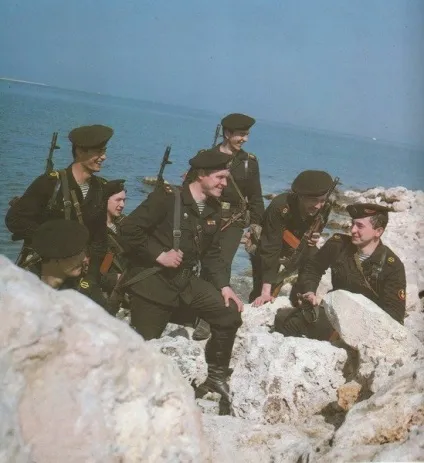 Берети в елітних військах, si vis pacem, para bellum! (Para) Берети в елітних військах, si vis pacem, para bellum!
