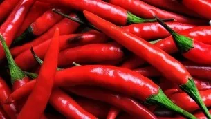 Як проростити насіння перцю
