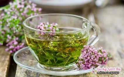Блукаючий нерв - симптоми і лікування (симптоми) Блукаючий нерв - симптоми і лікування