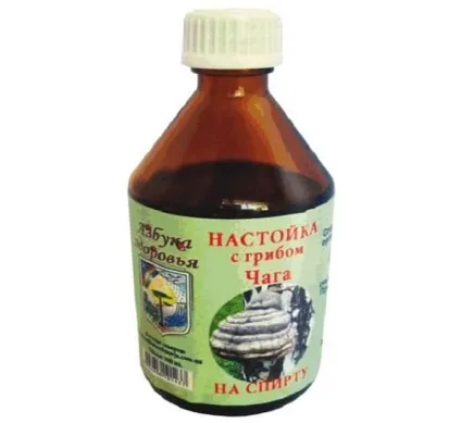 Чага як приготувати і приймати (Чага приготувати приймати) Чага як приготувати і приймати
