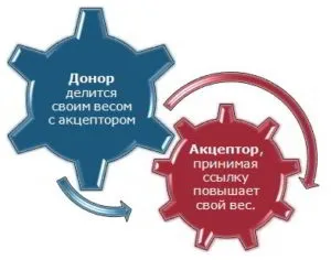 Що таке донор і акцептор в seo просування (посилань) Що таке донор і акцептор в seo просування
