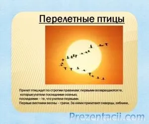 Що ми знаємо про птахів