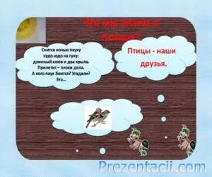 Що ми знаємо про птахів