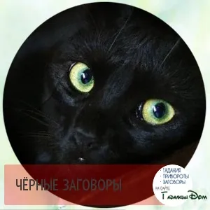чорні змови