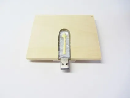 Чохол для usb флешки своїми руками, фарби дня (руками) Чохол для usb флешки своїми руками, фарби дня