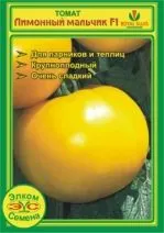 Елком насіння - насіння з Голландії (насіння) Елком насіння - насіння з Голландії