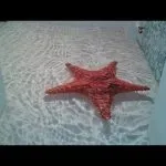 Дизайн ванної кімнати з наливними підлогами на прикладі фото та в описі (дизайн) Дизайн ванної кімнати з наливними підлогами на прикладі фото та в описі