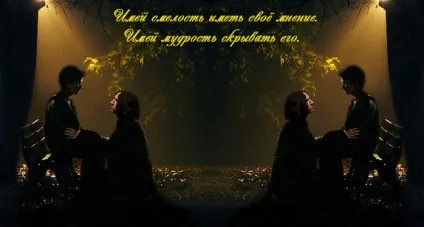 Щоденники - НЕ слешер за канон боротися! (Влітку ескімо Snarry) Щоденники - НЕ слешер за канон боротися!